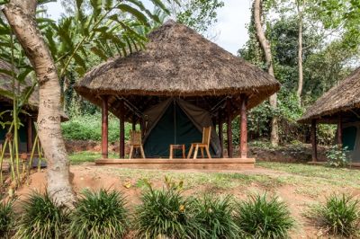 Kibale Forest Camp>Kibale Forest Uganda