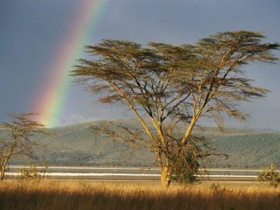 5 days Kenya Vacation>vacation holiday packages kenya