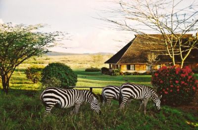 Kenya tree voyage>short holiday packages kenya-4nights