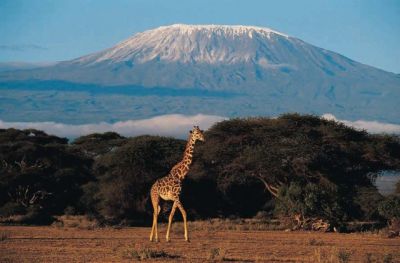 Kilimanjaro Safari Package> Kilimanjaro Holiday Tour- 5 nights
