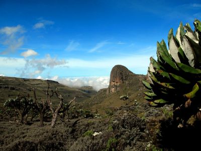 Mt Elgon Climbing tour>Climb Mount Elgon Uganda (5 days)