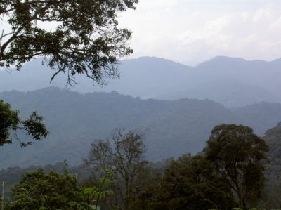 Eagle Nest Lodge, Gisakura Nyungwe