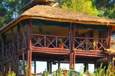 Da Vinci Gorilla Lodge, Kinigi Rwanda