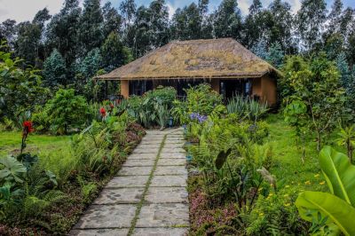 Go Lux Lodge Kinigi Rwanda