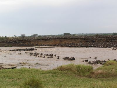 Vacation Kenya>Tanzania Vacation~East Africa Tour(14days)