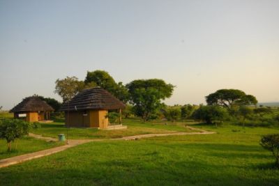 Bwana Tembo Safari Camp, Murchison Falls National Park