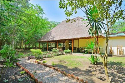 Bwindi Jungle Lodge