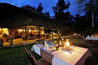 Ishasha Wilderness Tented Camp- Ishasha Uganda