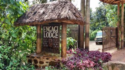 Engagi Lodge, Bwindi Impenetrable National Park