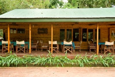 Budongo Eco Lodge>Budongo Forest Murchison Falls Uganda