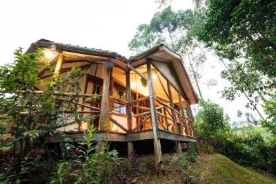 Gorilla Safari Lodge, Bwindi Impenetrable National Park