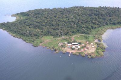 Ngamba Island camp>Ngamba Island lake Victoria Uganda