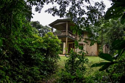 Primate Lodge>Kibale Forest Park Uganda