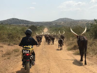 Uganda bike safaris>bike tours Uganda